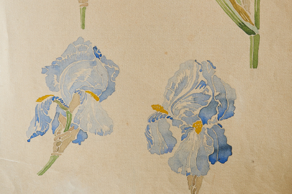 1904-05 Iris 48x35