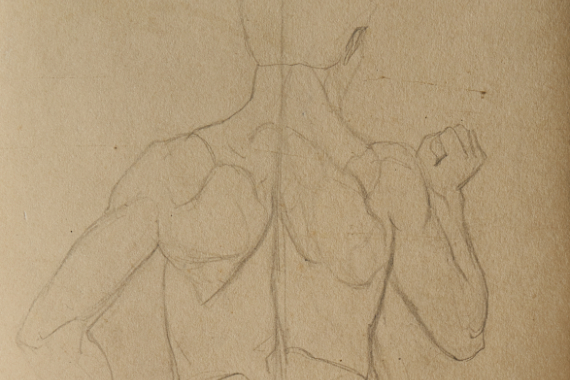 1908 Studie eines männlichen Körpers 50x23